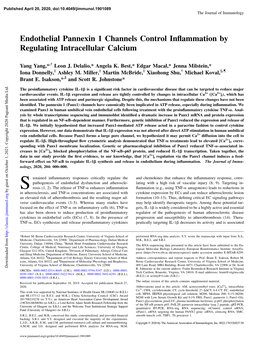 Endothelial Pannexin 1 Channels Control Inflammation by Regulating Intracellular Calcium