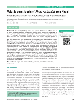 Volatile Constituents of Pinus Roxburghii from Nepal