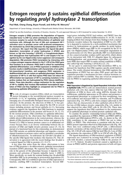 Estrogen Receptor Β Sustains Epithelial Differentiation by Regulating Prolyl Hydroxylase 2 Transcription