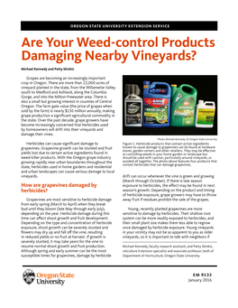 Are Your Weed-Control Products Damaging Nearby Vineyards?