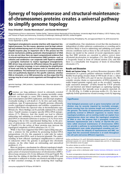 Synergy of Topoisomerase and Structural-Maintenance