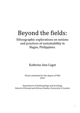 Beyond the Fields: Ethnographic Explorations on Notions and Practices of Sustainability in Ifugao, Philippines