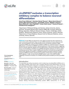 Circznf827 Nucleates a Transcription Inhibitory Complex to Balance