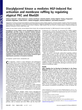 Diacylglycerol Kinase Α Mediates HGF-Induced Rac Activation and Membrane Rufﬂing by Regulating Atypical PKC and Rhogdi