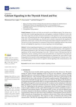 Calcium Signaling in the Thyroid: Friend and Foe
