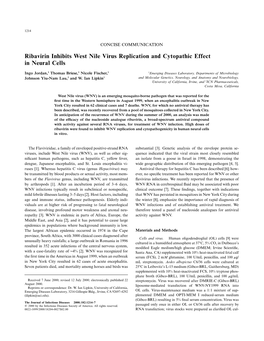 Ribavirin Inhibits West Nile Virus Replication and Cytopathic Effect in Neural Cells