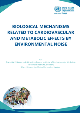 2.3.2 Noise Sensitivity 7 References 9