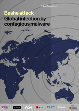 Bashe Attack Global Infection by Contagious Malware 2