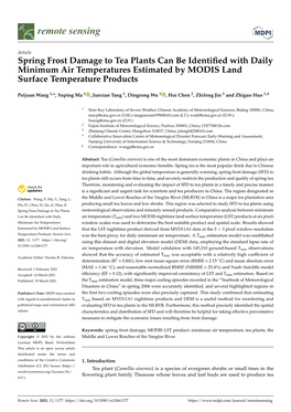 Spring Frost Damage to Tea Plants Can Be Identified with Daily