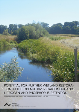 Potential for Further Wetland Restoration in the Odense River Catchment and Nitrogen and Phosphorus Retention