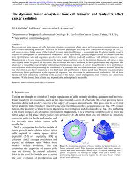 The Dynamic Tumor Ecosystem: How Cell Turnover and Trade-Offs Affect Cancer Evolution