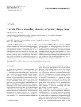 Review Hairpin RNA: a Secondary Structure of Primary Importance