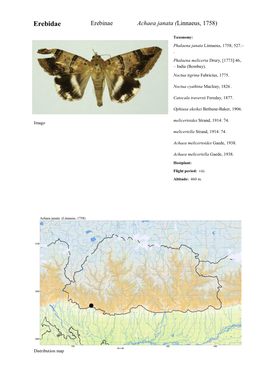 Erebidae-Erebinae.Pdf