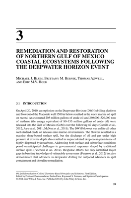 Remediation and Restoration of Northern Gulf of Mexico Coastal Ecosystems Following the Deepwater Horizon Event