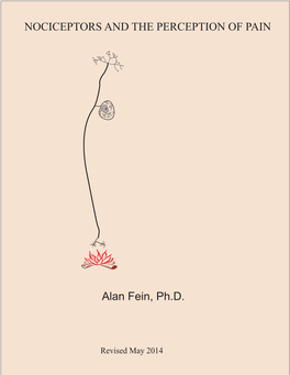 NOCICEPTORS and the PERCEPTION of PAIN Alan Fein