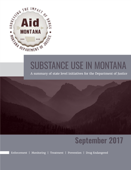 SUBSTANCE USE in MONTANA a Summary of State Level Initiatives for the Department of Justice