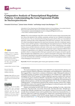 Comparative Analysis of Transcriptional Regulation Patterns: Understanding the Gene Expression Profile in Nucleocytoviricota