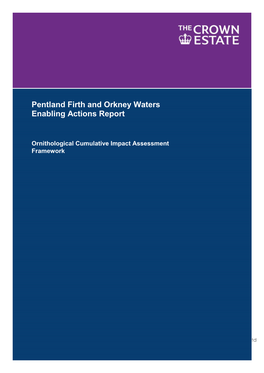 Pentland Firth and Orkney Waters Enabling Actions Report: Ornithological Cumulative Impact Assessment Framework