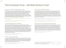 The Fantastic Five... Norfolk Nature Trail