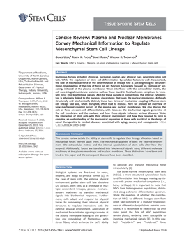 Concise Review: Plasma and Nuclear Membranes Convey Mechanical Information to Regulate Mesenchymal Stem Cell Lineage