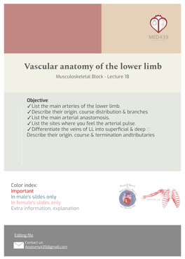 Vascular Anatomy of the Lower Limb Musculoskeletal Block - Lecture 18