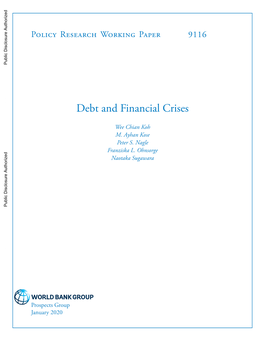 Debt and Financial Crises