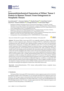 Immunohistochemical Expression of Wilms' Tumor 1 Protein In