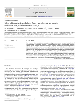 Effect of Isoquinoline Alkaloids from Two Hippeastrum Species on in Vitro Acetylcholinesterase Activity