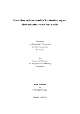 Endfassung Doktorarbeit 4.10.3.Druck.DOC