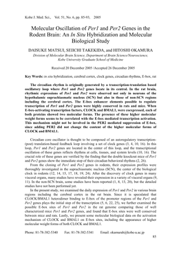 Molecular Oscillation of Per1 and Per2 Genes in the Rodent Brain: an in Situ Hybridization and Molecular Biological Study