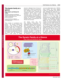 The Dynein Family at a Glance Peter Höök and Richard B