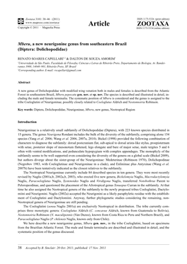 Mberu, a New Neurigonine Genus from Southeastern Brazil (Diptera: Dolichopodidae)