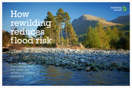 How Rewilding Reduces F Lood Risk