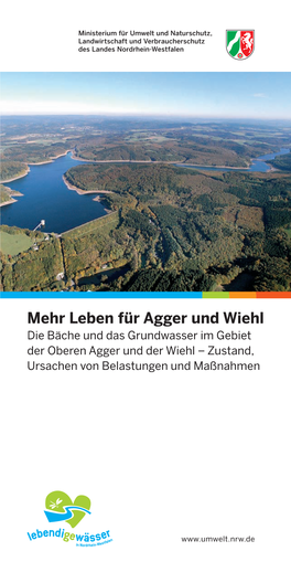 Leben Für Agger Und Wiehl Die Bäche Und Das Grundwasser Im Gebiet Der Oberen Agger Und Der Wiehl – Zustand, Ursachen Von Belastungen Und Maßnahmen