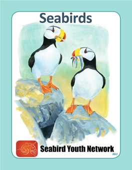 SYN Seabird Curricul