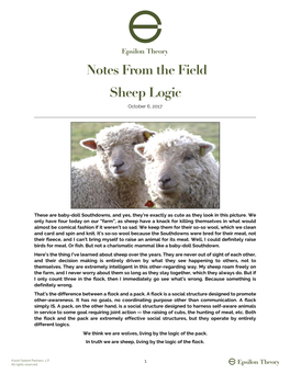 Notes from the Field | Sheep Logic