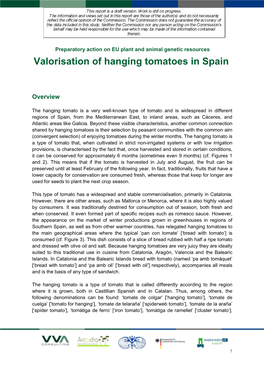 Valorisation of Hanging Tomatoes in Spain