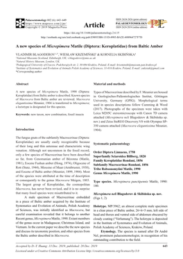 A New Species of Micrepimera Matile (Diptera: Keroplatidae) from Baltic Amber