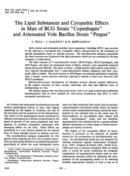 The Lipid Substances and Cytopathic Effects in Man of BCG Strain "Copenhagen" and Attenuated Vole Bacillus Strain "Prague"
