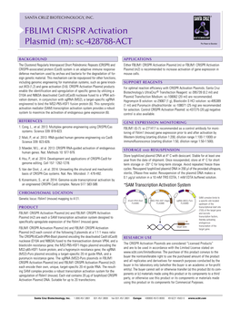 FBLIM1 CRISPR Activation Plasmid (M): Sc-428788-ACT