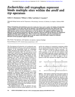 Binds Multiple Sites Within the Aroh and Trp Operators
