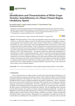 Identification and Characterization of White Grape Varieties Autochthonous of a Warm Climate Region (Andalusia, Spain)