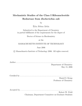 Mechanistic Studies of the Class I Ribonucleotide Reductase From