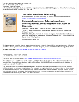 Postcranial Anatomy of Sebecus Icaeorhinus (Crocodyliformes, Sebecidae) from the Eocene of Patagonia Diego Pol a , Juan M
