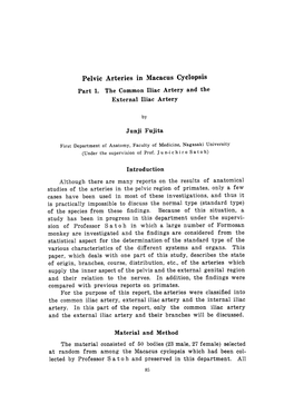 Pelvic Arteries in Macacus Cyclopsis Junji Fujita Introduction