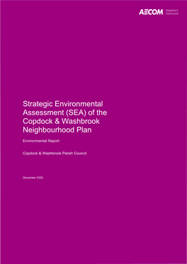 Strategic Environmental Assessment (SEA) of the Copdock & Washbrook Neighbourhood Plan