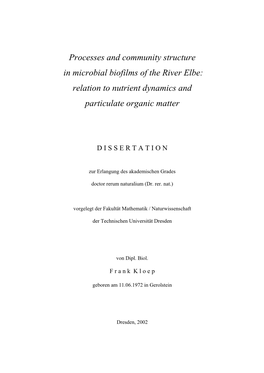 Relation to Nutrient Dynamics and Particulate Organic Matter