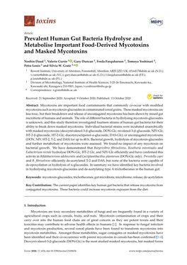 Prevalent Human Gut Bacteria Hydrolyse and Metabolise Important Food-Derived Mycotoxins and Masked Mycotoxins
