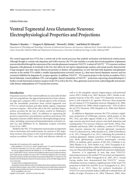 Ventral Tegmental Area Glutamate Neurons: Electrophysiological Properties and Projections