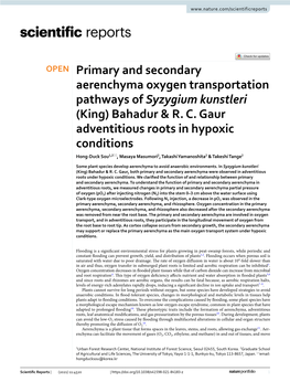 Primary and Secondary Aerenchyma Oxygen Transportation Pathways of Syzygium Kunstleri (King) Bahadur & R